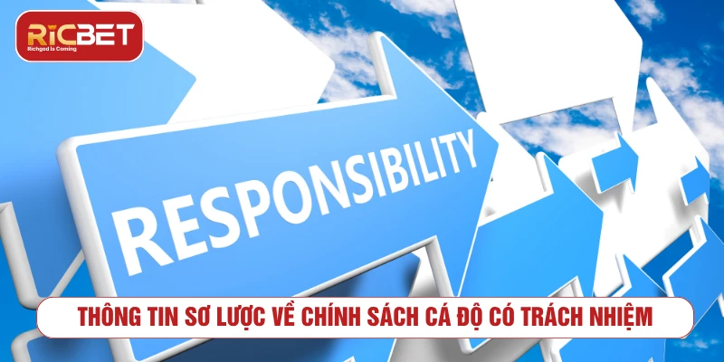 Chơi Có Trách Nhiệm Tại RICBET: Nguyên Tắc Và Công Cụ Thông tin sơ lược về chính sách cá độ có trách nhiệm
